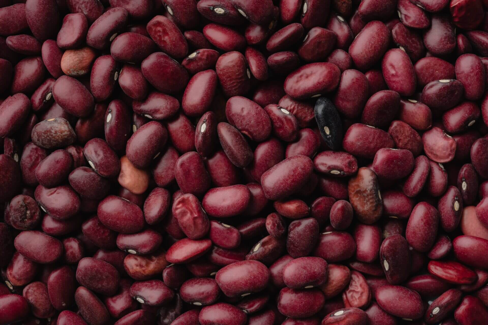 Beans: Nutrient-Rich Legumes