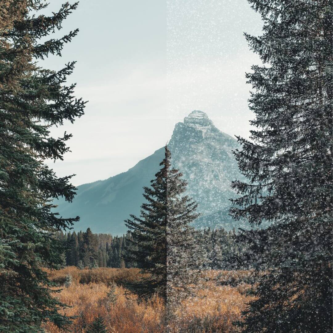 All You Need to Know About Visual Snow Syndrome