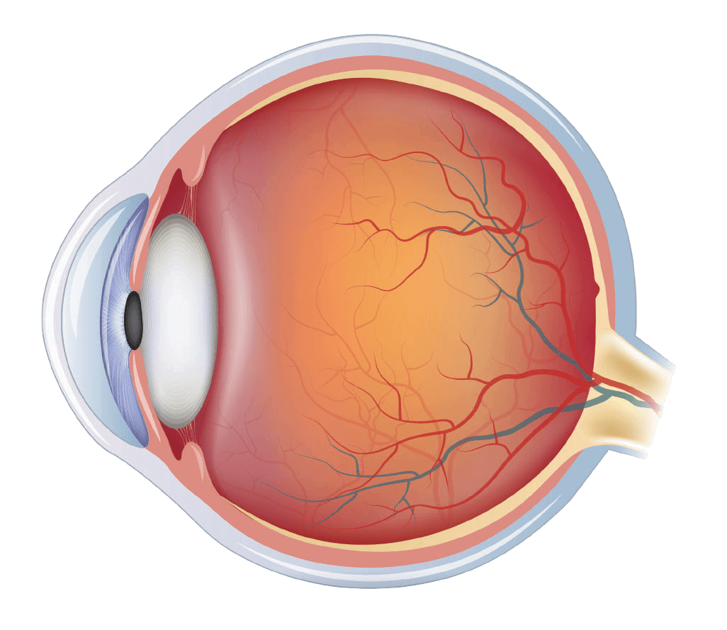 How Does 3D Vision Work?