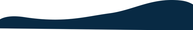 Vector 1 (1)